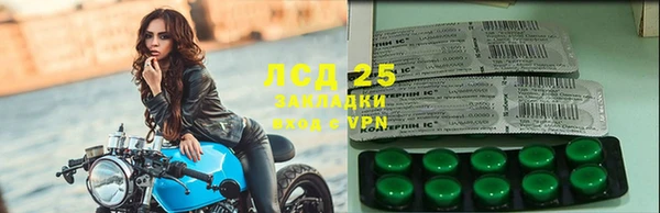 ПСИЛОЦИБИНОВЫЕ ГРИБЫ Михайловск