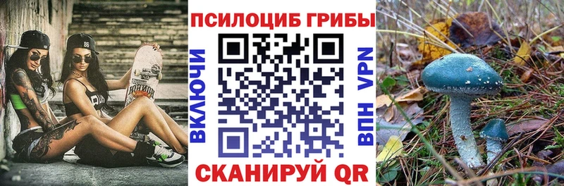 Псилоцибиновые грибы мицелий  Купить закладки  Николаевск-на-Амуре 